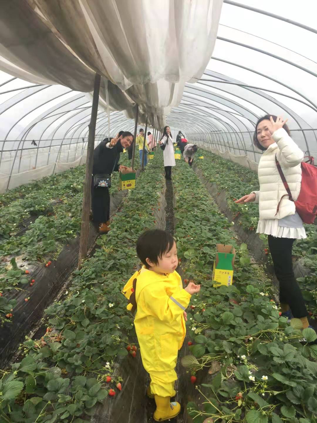 2019年普罗星第一季度庆生会&丽人节活动圆满落幕