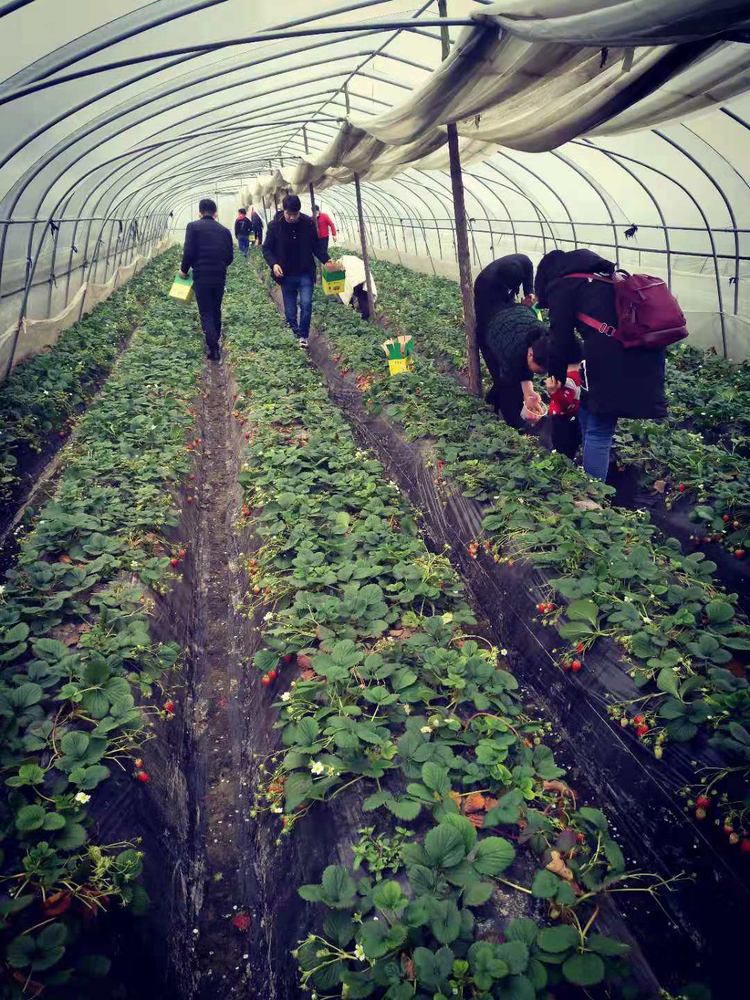 2019年普罗星第一季度庆生会&丽人节活动圆满落幕