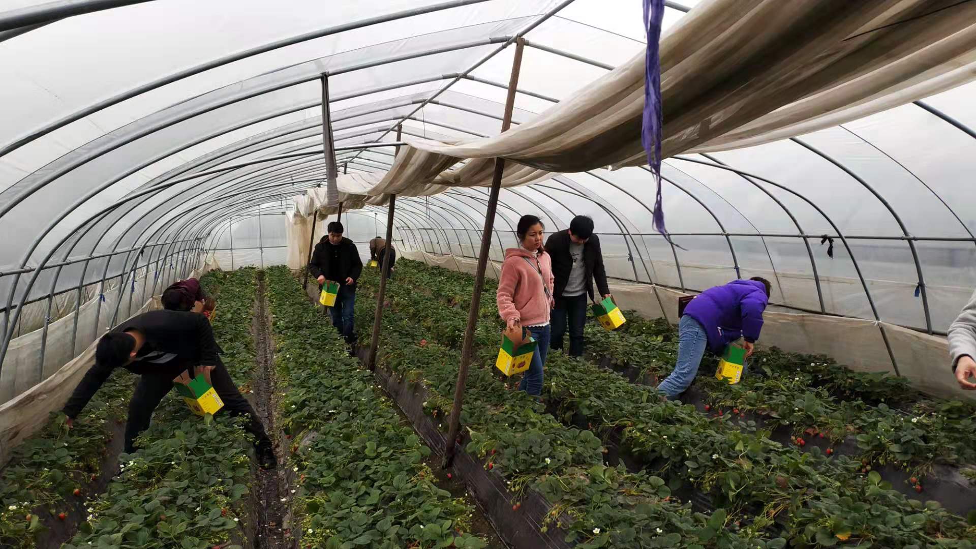 2019年普罗星第一季度庆生会&丽人节活动圆满落幕