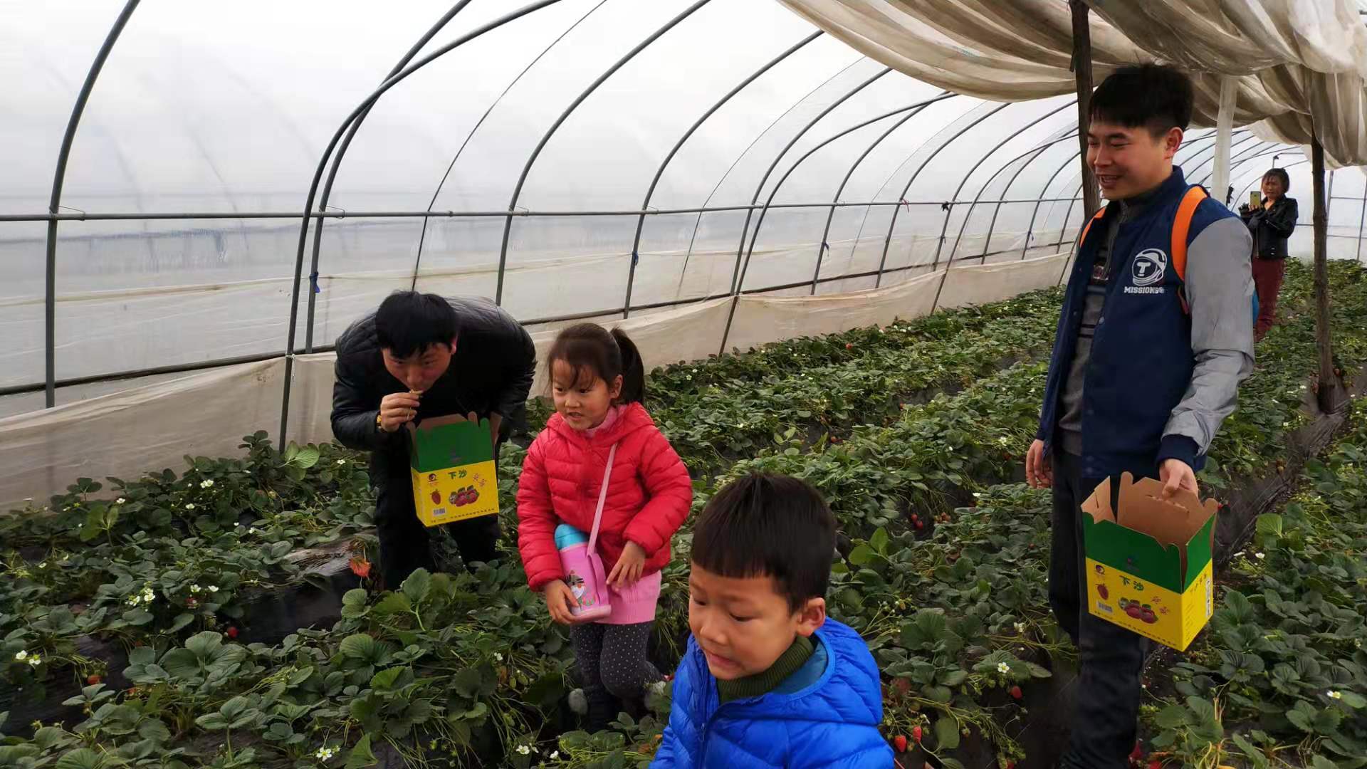 2019年普罗星第一季度庆生会&丽人节活动圆满落幕