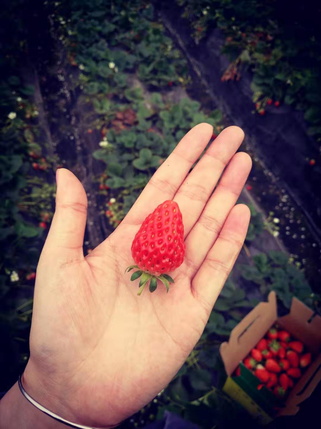 2019年普罗星第一季度庆生会&丽人节活动圆满落幕